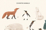 Arctic Animal, Botanical & Landscape, an Animal Illustration by imajineko (Thumbnail 4 of 11)