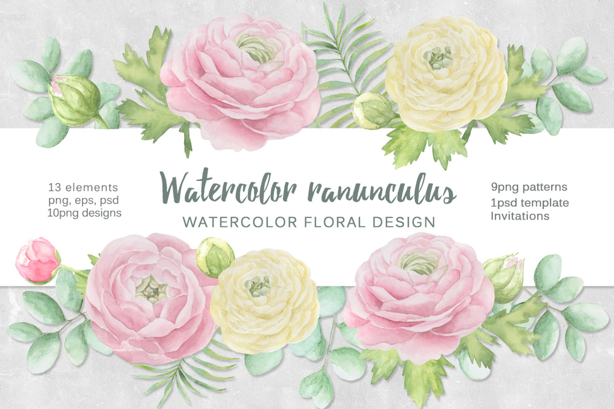 Watercolor ranunculus., an Illustration by BrushArtDesigns (Photo 1 of 6)