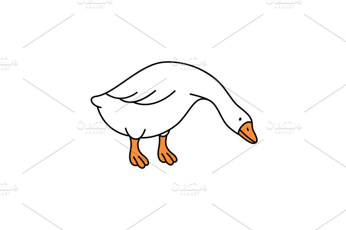 Minimalist outline illustration of a, an Animal Illustration by GraphiShop