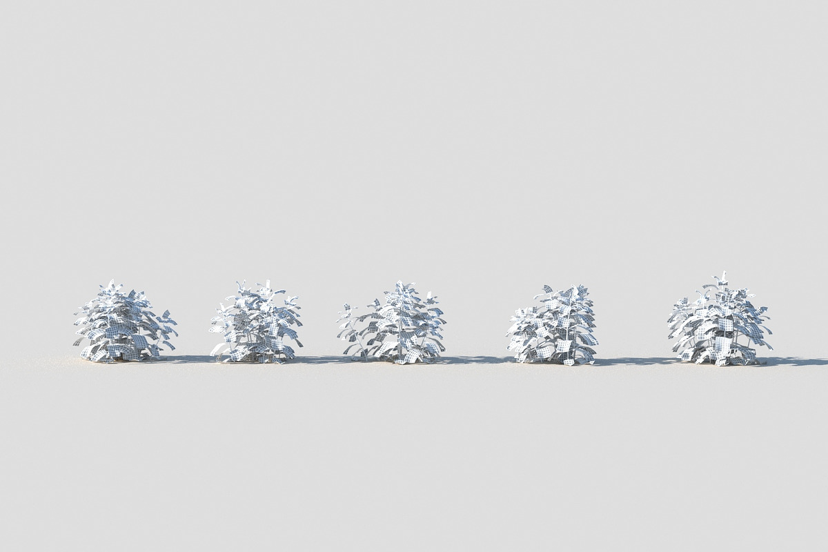 Melissa officinalis, an Environmental 3D Model by happy brush (Photo 7 of 8)