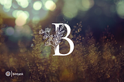 Golden B Letter Logo, a Branding & Logo Template by Bintank Studio (Thumbnail 3 of 3)