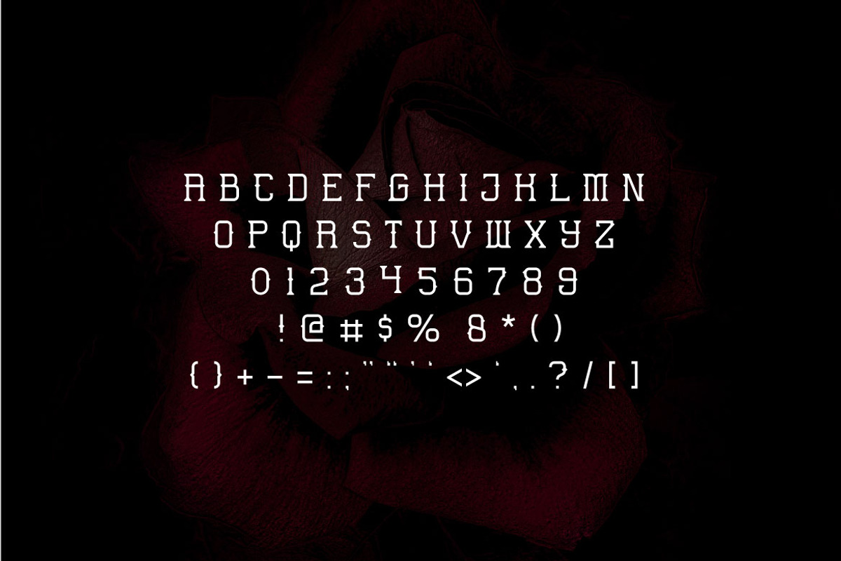 The Fronk - Decorative Display Font, a Sans Serif Font by Mightyfire (Photo 2 of 3)