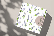Essential Oils Botanical watercolor, a Healthcare Illustration by Volha Studio (Thumbnail 8 of 11)