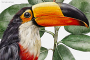 Tropical Haven I Premium Collection, a Pattern Graphic by Alisa Fimen Design (Thumbnail 11 of 11)