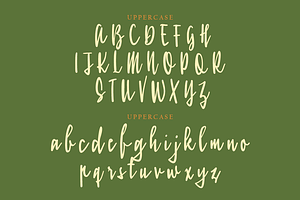 Roselyn Handwriting A Modern Font