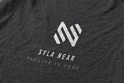 Logo Letter SN or N, a Branding & Logo Template by Izalsye (Thumbnail 2 of 4)