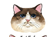 Breeds of cats - watercolor. Part 1, an Animal Illustration by KatBranchArt (Thumbnail 2 of 5)