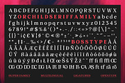 Orchild Serif | 91 Style Font, a Serif Font by Bosstype Studio (Thumbnail 12 of 12)