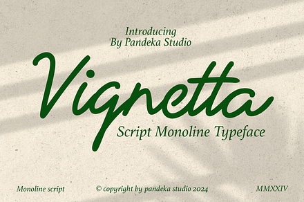 Vignetta - Casual Script Monoline, a Script Font by Pandeka Studio