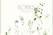 MAY Watercolor Spring Collection, a Decorative Illustration by Kaleriia (Thumbnail 5 of 12)
