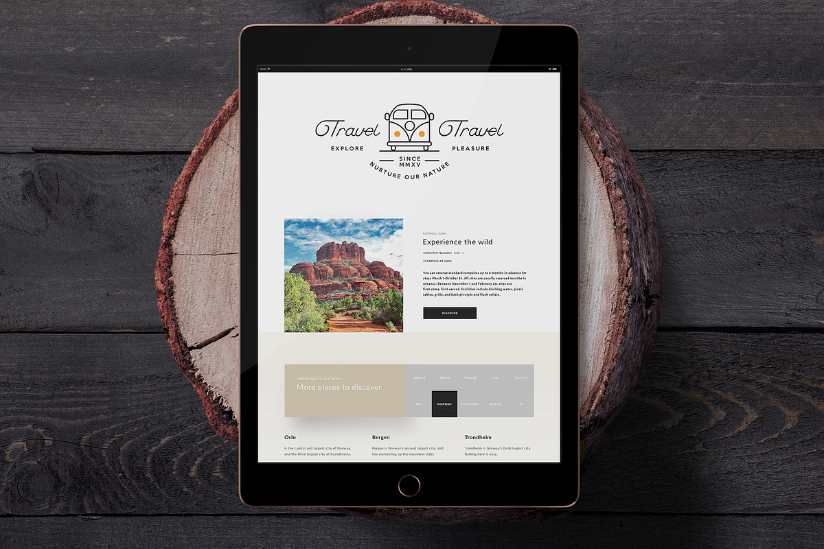 American Adventure Badges Logo Kit, a Branding & Logo Template by LovePowerDesigns (Photo 9 of 14)