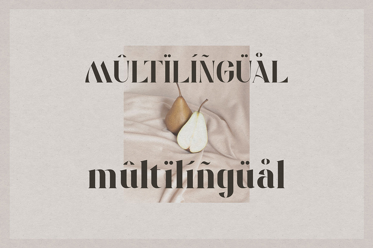 Solitten | Elegant Typeface, a Serif Font by Almeera Std (Photo 7 of 10)