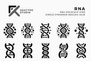 RNA Icon Vector, a Solid Icon by Akatype Studio