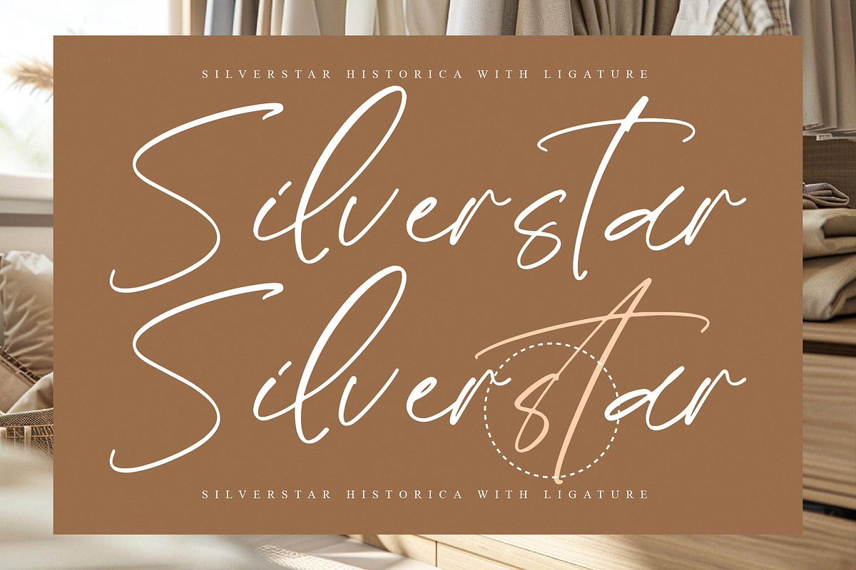 Silverstar Historica, a Script Font by operatype.co (Photo 8 of 15)