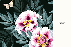 Tree Peony Patterns