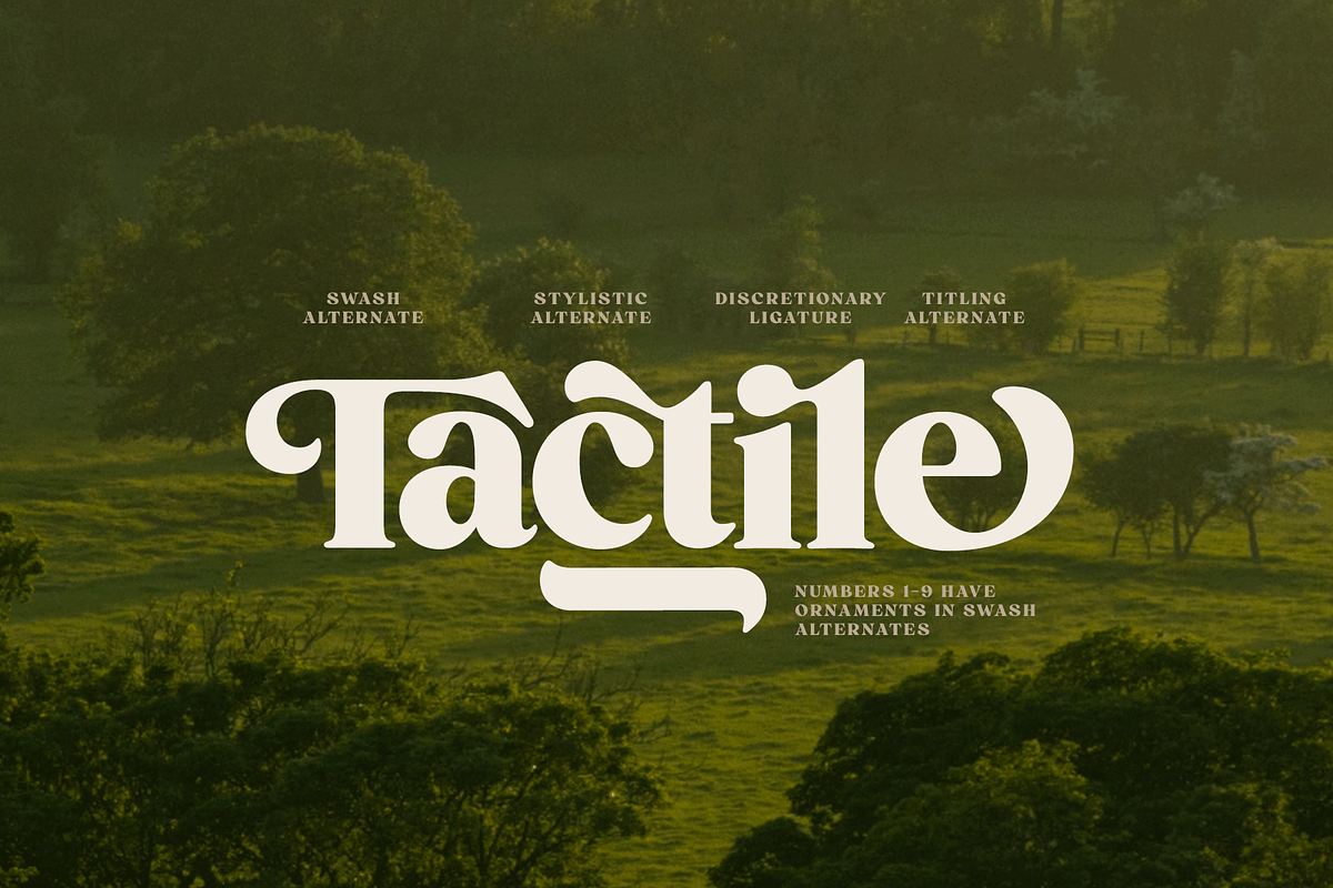 Briston Serif, a Serif Font by Fenotype (Photo 12 of 14)
