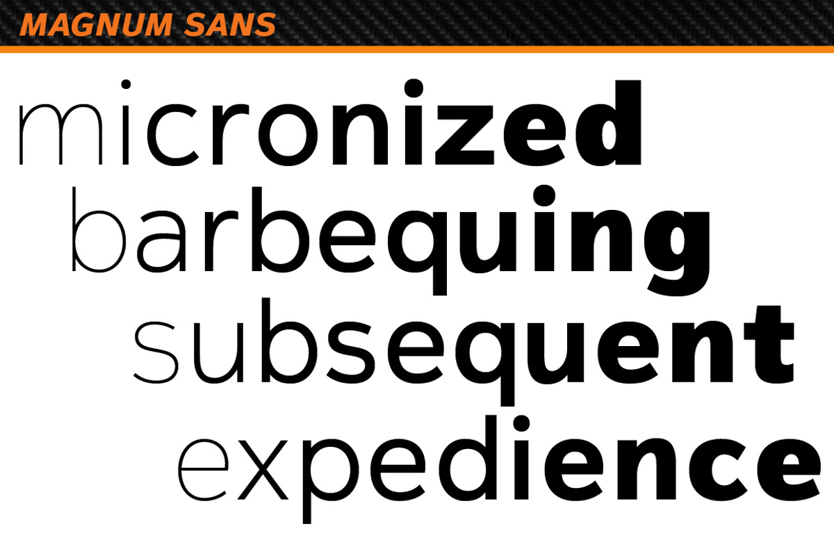 Magnum Sans preview 4