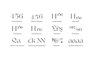 Erotique - 10 fonts, a Serif Font by Zetafonts (Thumbnail 14 of 14)