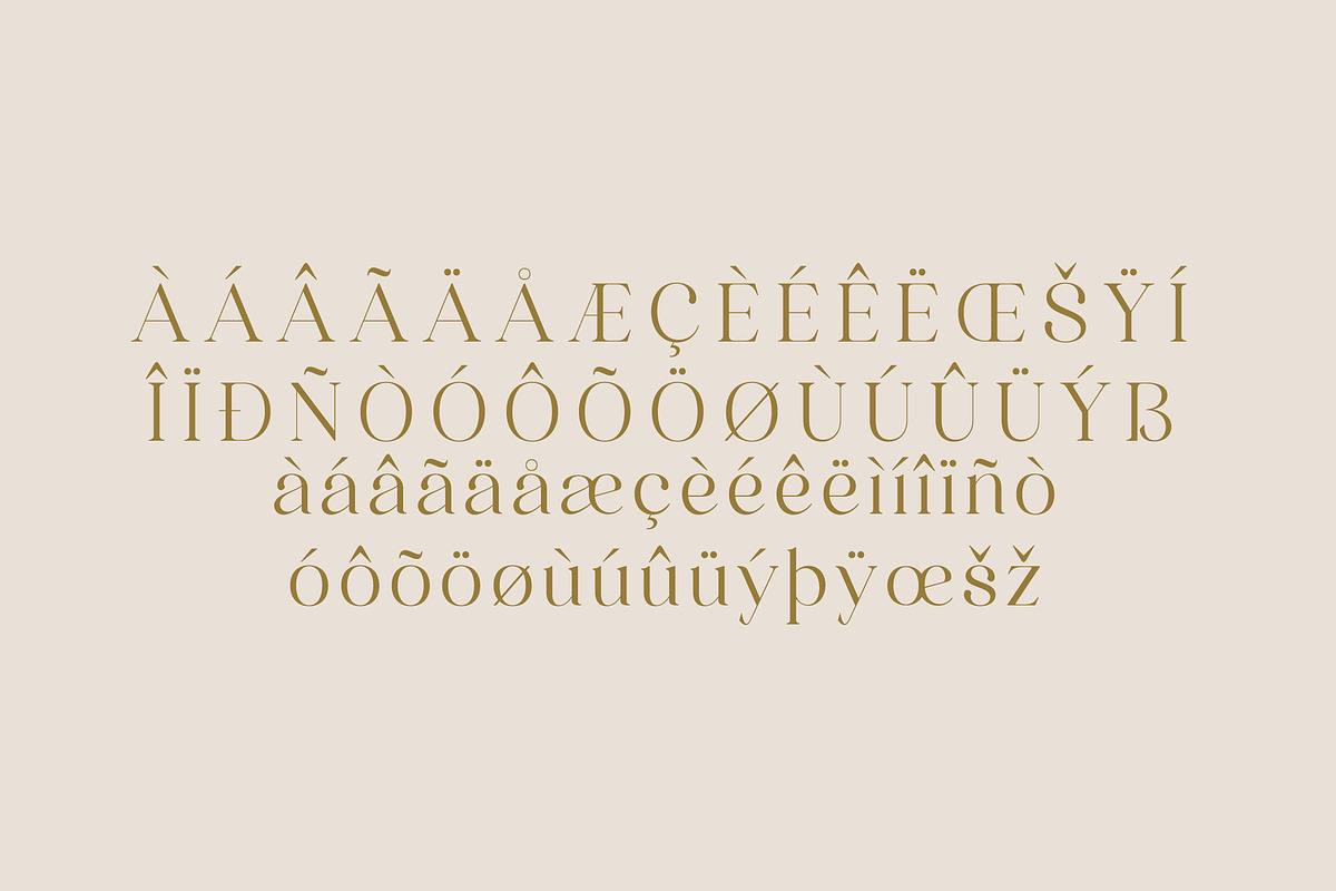 Quahon Modern Stylish Font, a Script Font by Storytype Studio (Photo 14 of 15)