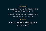 Buwah, a Serif Font by twinstd (Thumbnail 11 of 12)