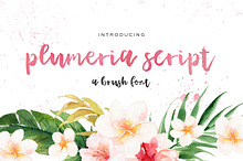 Plumeria Script