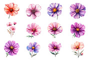 Watercolor Cosmos Flower Clipart, an Illustration by Dream Creation (Thumbnail 3 of 7)