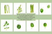 Organic Kitchen. Scene Creator, an Object Graphic by ifiStudio (Thumbnail 2 of 6)