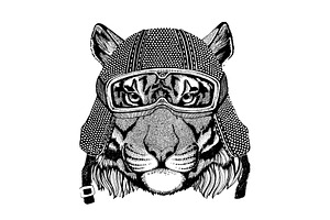 Animal wearing motorycle helmet