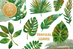 Tropical Jungle Leaves Clipart Set