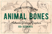 125 Vintage Animal Bones (Vector), an Animal Illustration by Brigantine Designs (Thumbnail 1 of 9)