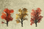 Zelkova Serrata Trees, an Object Graphic by Athlos ArtLab (Thumbnail 2 of 5)