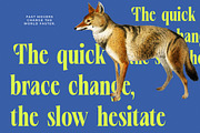 Vardent Modern Display Serif Font, a Serif Font by timelesstype.co (Thumbnail 7 of 20)