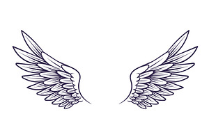 Drawn Wing. Angel Wings With