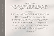 Going Golden Font Family, a Serif Font by Creativeqube Design (Thumbnail 17 of 17)