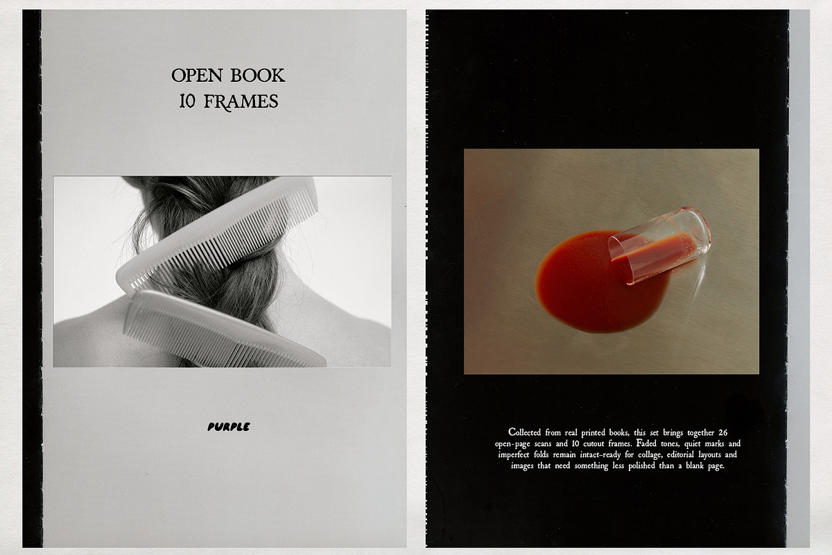 Open Book Paper Scans & Frames, a Texture Graphic by Purple (Photo 6 of 11)