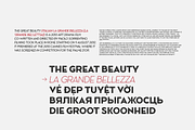 Ace Sans Variable Font, a Sans Serif Font by FactoryType Studio (Thumbnail 7 of 11)