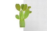 White Background Remover, an Action Add-On by smuug (Thumbnail 2 of 3)