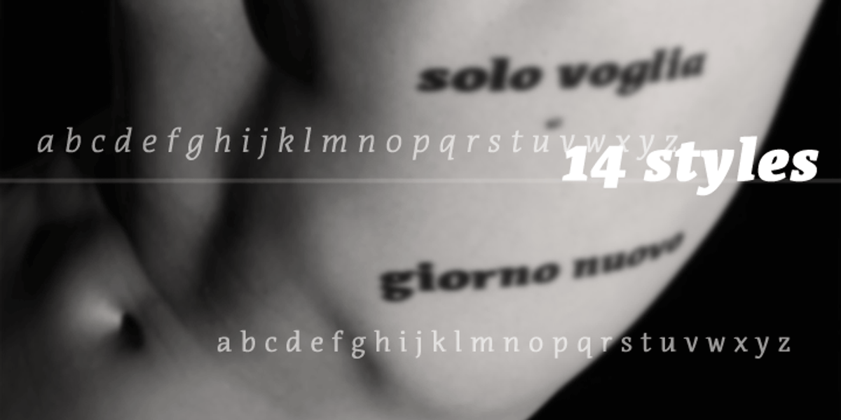 Acuta, a Serif Font by Anatoletype (Photo 3 of 5)