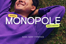 Monopole - Modern Sans Serif