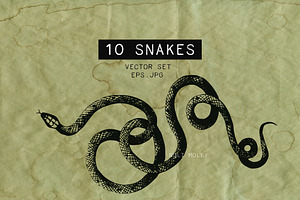 Snakes vector set