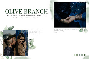 Olive Branch