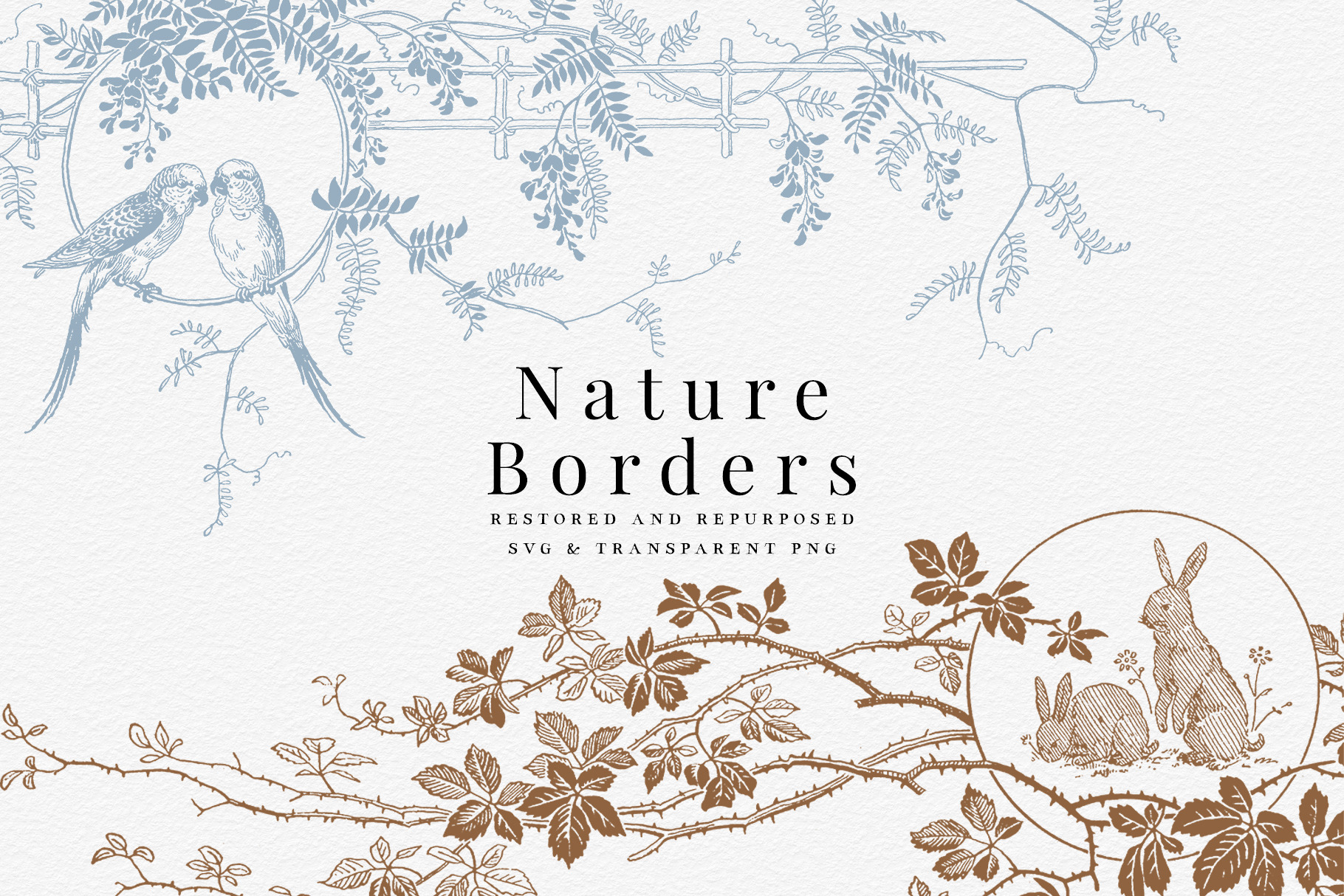 Vintage Nature Borders, a Decorative Illustration by AW Studios
