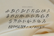 Amorelle - Beautiful Handwritten Bru, a Handwritten Font by RHD Creative Studio (Thumbnail 9 of 10)
