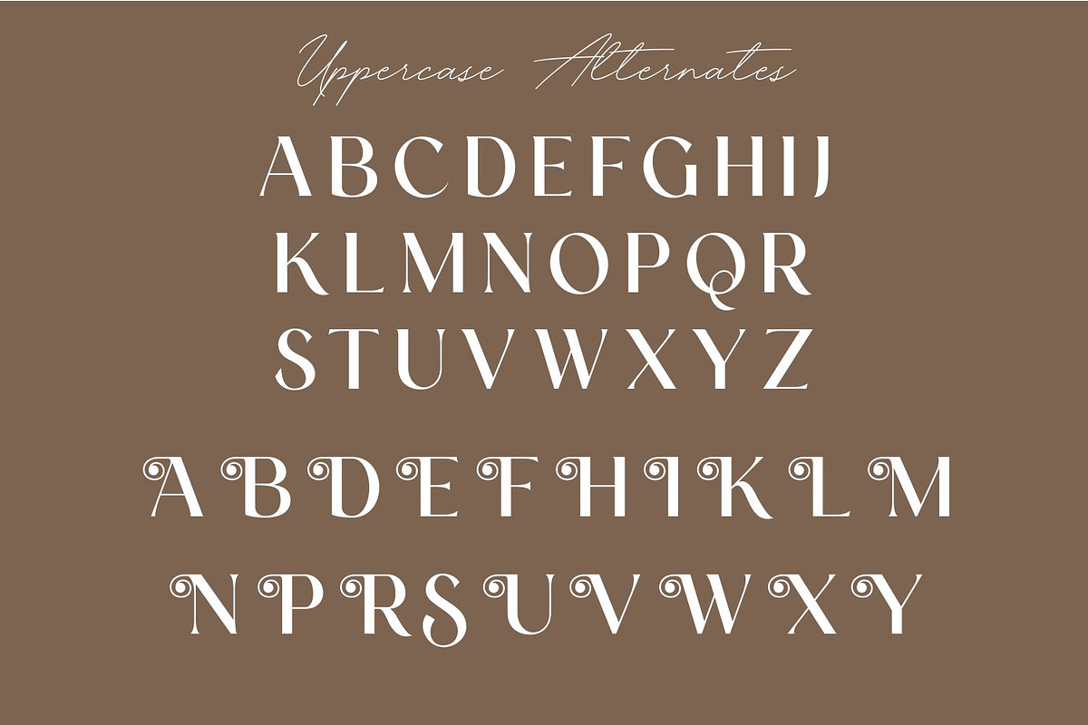 Biglia Modern Bold Condensed Sans, a Sans Serif Font by WhymoreArt (Photo 8 of 10)