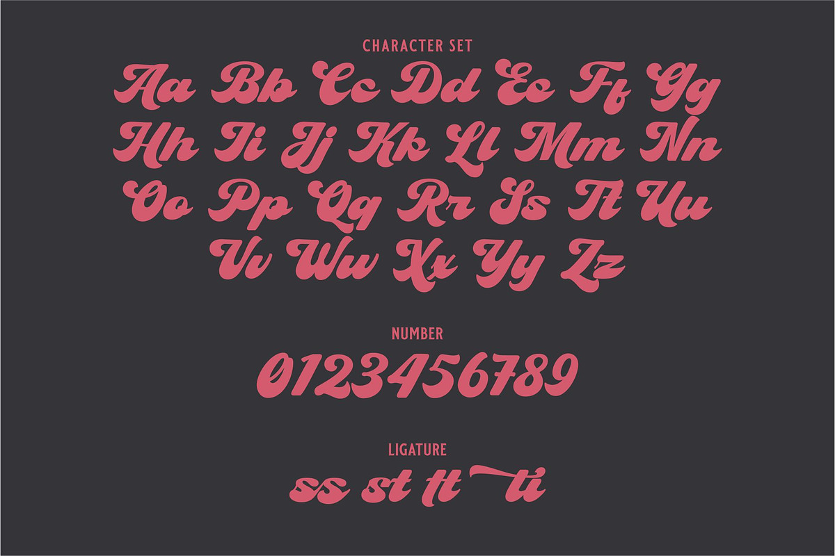 ARCTIC DELIGHT, a Script Font by Havinkpen (Photo 8 of 8)