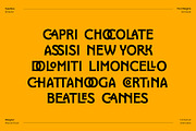 Brillante Typeface, a Serif Font by ManuelRosin (Thumbnail 2 of 19)