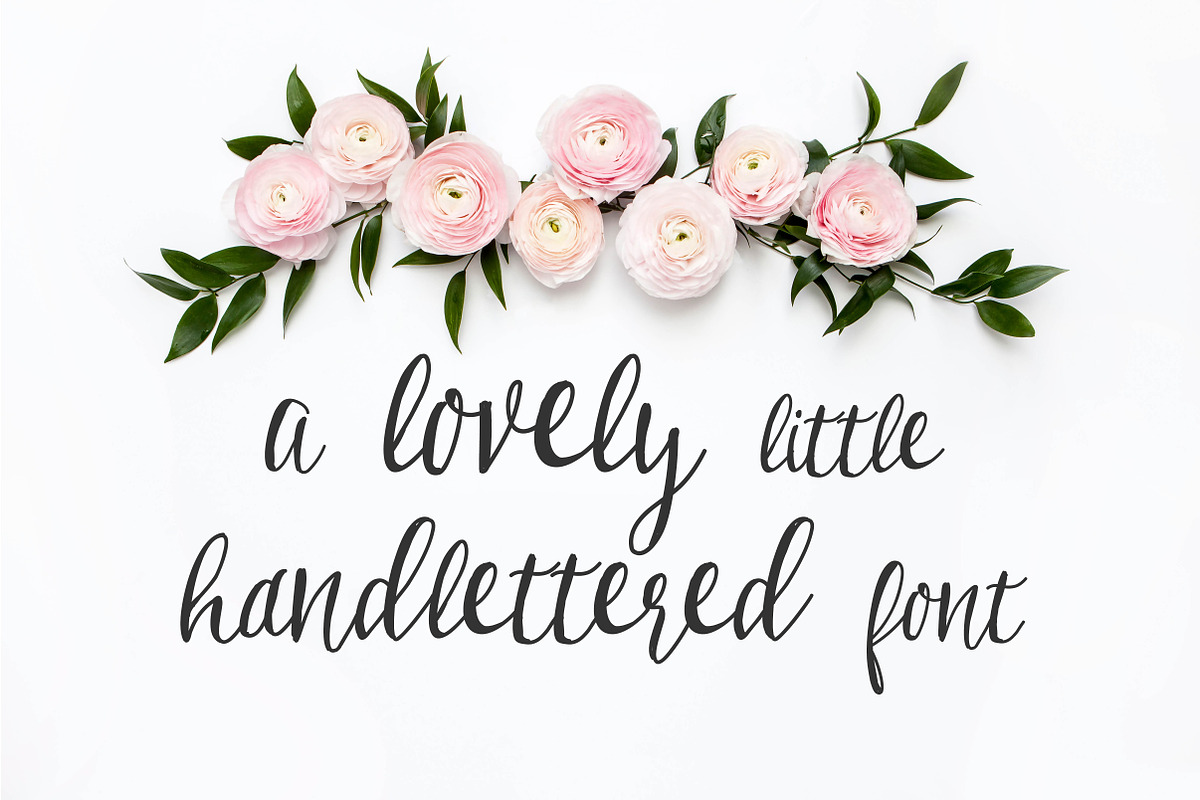 Birchwood Calligraphy Font preview 2