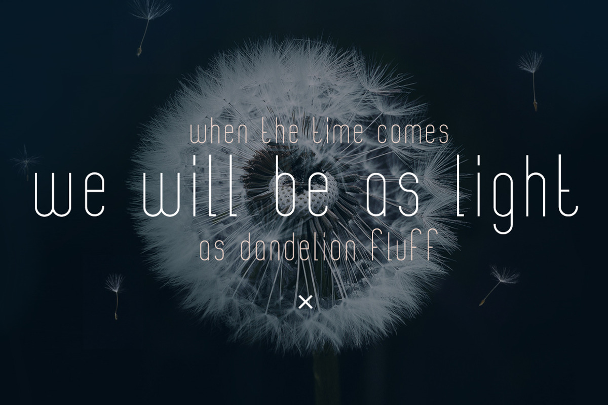 Banret. Font Family, a Sans Serif Font by Olga Ryzychenko (Photo 9 of 11)