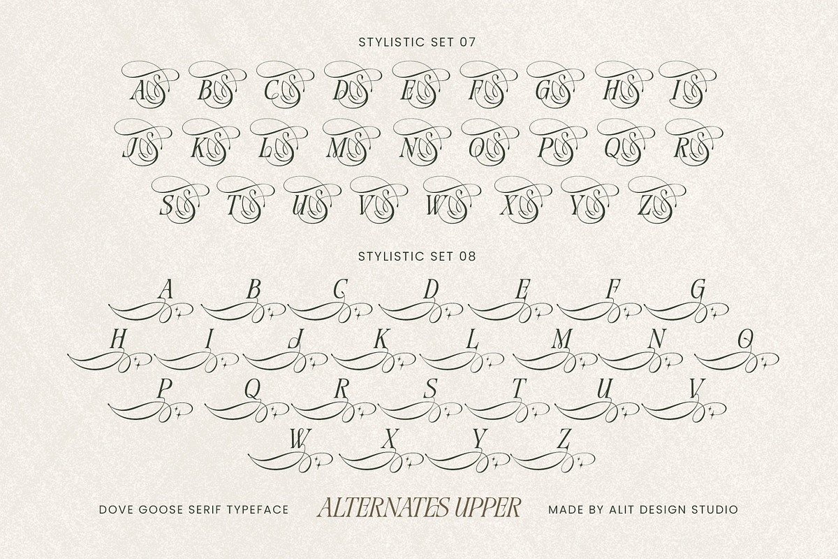 Dove and Goose Typeface, a Serif Font by alit design (Photo 13 of 20)