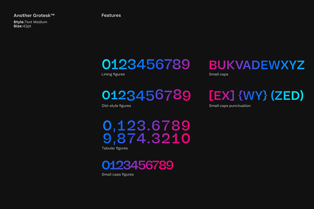 Another Grotesk Text Family, a Sans Serif Font by Bukva™ Type Foundry (Photo 11 of 15)